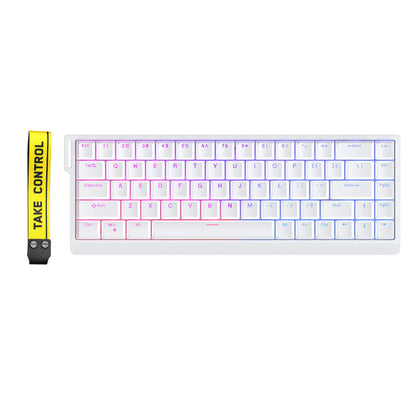 HE65 Magnetic Switch Gaming Mechanical Keyboard Rapid Trigge Low Delay Full Dynamic Simulation E-Sports Level Gamer Accessory